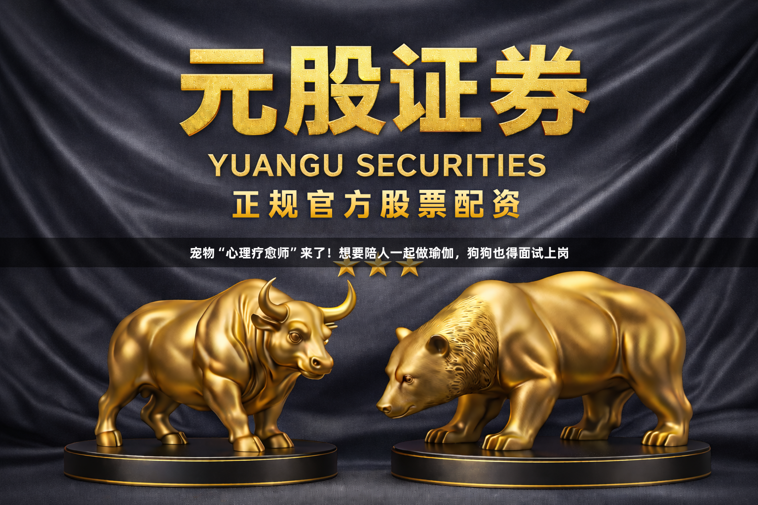 宠物“心理疗愈师”来了！想要陪人一起做瑜伽，狗狗也得面试上岗