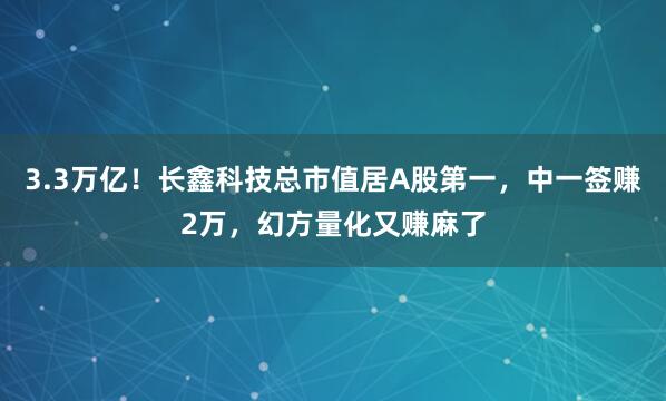 3.3万亿！长鑫科技总市值居A股第一，中一签赚2万，幻方量化又赚麻了