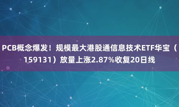 PCB概念爆发!规模最大港股通信息技术ETF华宝(159131)放量上涨2.87%收复20日线