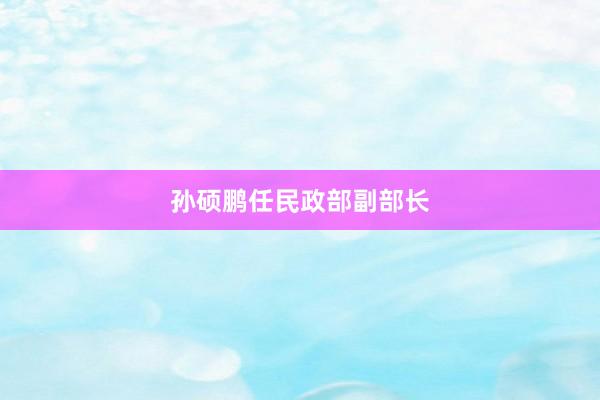 孙硕鹏任民政部副部长