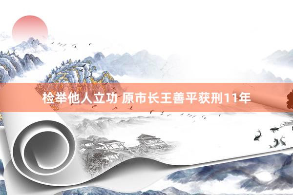 检举他人立功 原市长王善平获刑11年