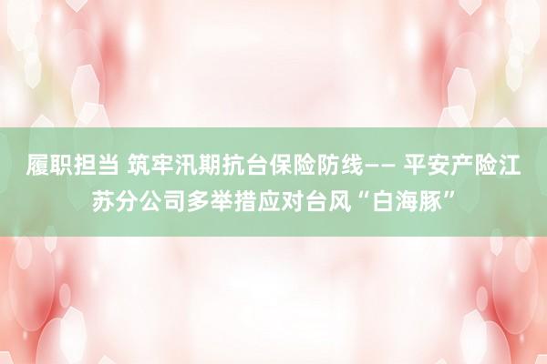 履职担当 筑牢汛期抗台保险防线—— 平安产险江苏分公司多举措应对台风“白海豚”