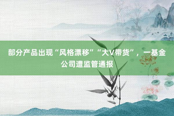 部分产品出现“风格漂移”“大V带货”，一基金公司遭监管通报