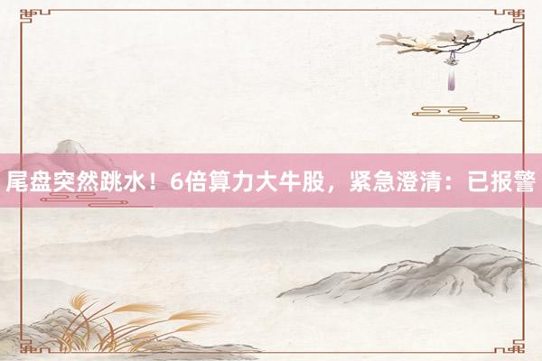 尾盘突然跳水！6倍算力大牛股，紧急澄清：已报警