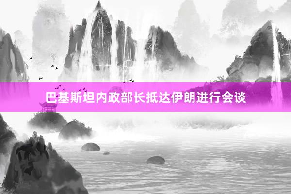 巴基斯坦内政部长抵达伊朗进行会谈