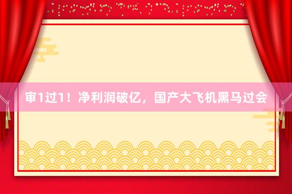 审1过1！净利润破亿，国产大飞机黑马过会