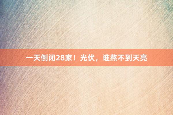 一天倒闭28家！光伏，谁熬不到天亮