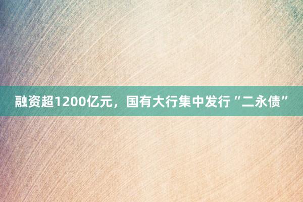 融资超1200亿元，国有大行集中发行“二永债”