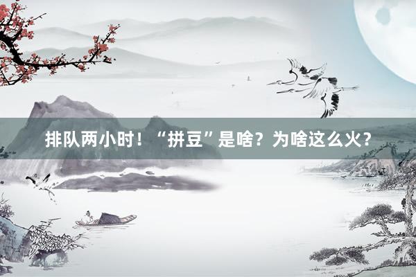 排队两小时！“拼豆”是啥？为啥这么火？
