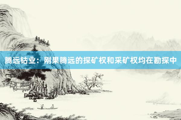 腾远钴业：刚果腾远的探矿权和采矿权均在勘探中