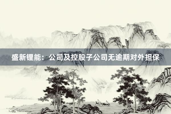 盛新锂能：公司及控股子公司无逾期对外担保