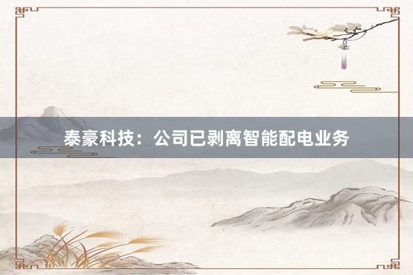 泰豪科技：公司已剥离智能配电业务