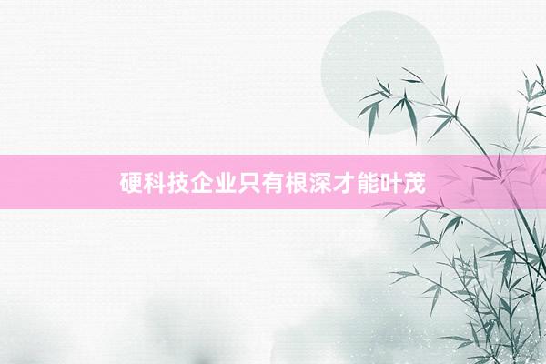 硬科技企业只有根深才能叶茂