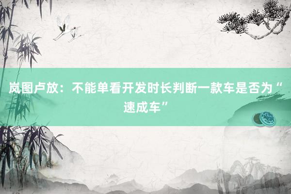 岚图卢放：不能单看开发时长判断一款车是否为“速成车”
