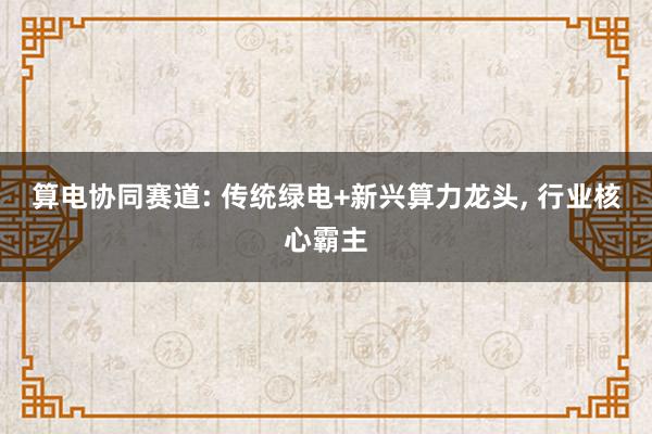 算电协同赛道: 传统绿电+新兴算力龙头, 行业核心霸主