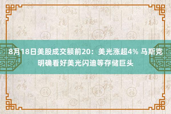 8月18日美股成交额前20：美光涨超4% 马斯克明确看好美光闪迪等存储巨头
