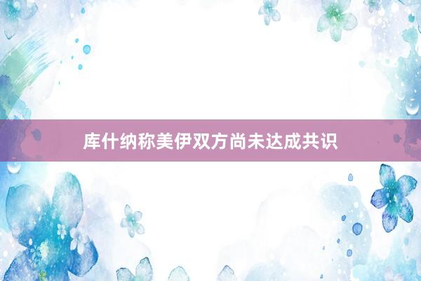 库什纳称美伊双方尚未达成共识