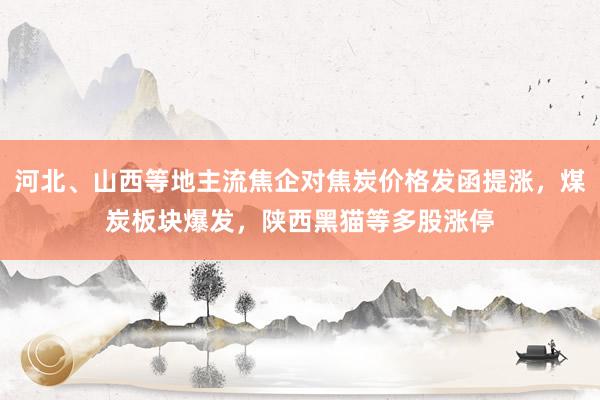 河北、山西等地主流焦企对焦炭价格发函提涨，煤炭板块爆发，陕西黑猫等多股涨停