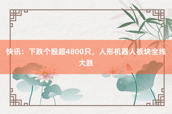 快讯：下跌个股超4800只，人形机器人板块全线大跌