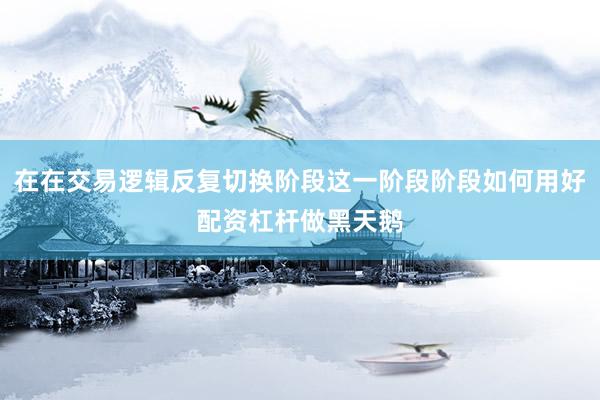 在在交易逻辑反复切换阶段这一阶段阶段如何用好配资杠杆做黑天鹅