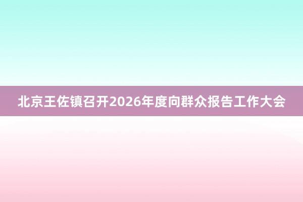 北京王佐镇召开2026年度向群众报告工作大会