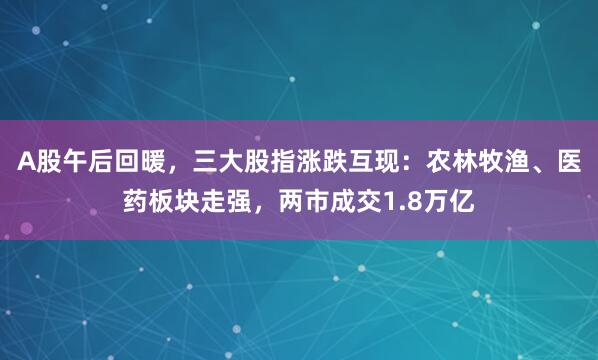 A股午后回暖，三大股指涨跌互现：农林牧渔、医药板块走强，两市成交1.8万亿