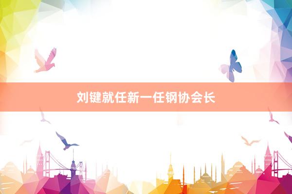 刘键就任新一任钢协会长