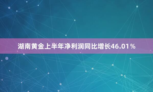 湖南黄金上半年净利润同比增长46.01％