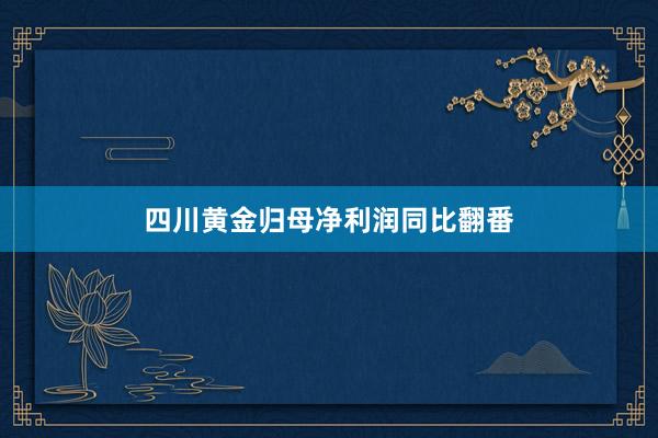 四川黄金归母净利润同比翻番