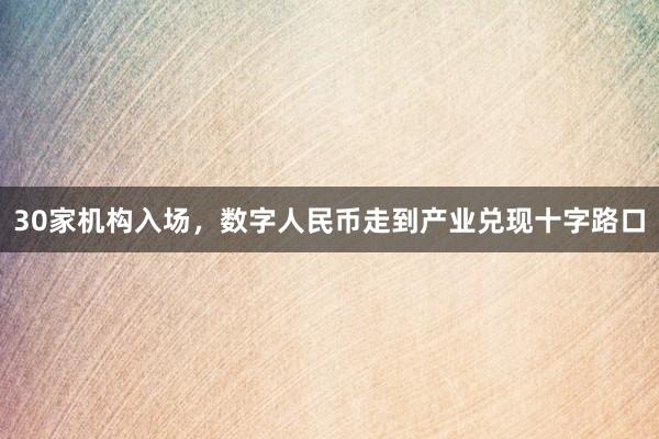 30家机构入场，数字人民币走到产业兑现十字路口