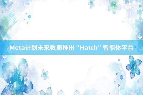 Meta计划未来数周推出“Hatch”智能体平台