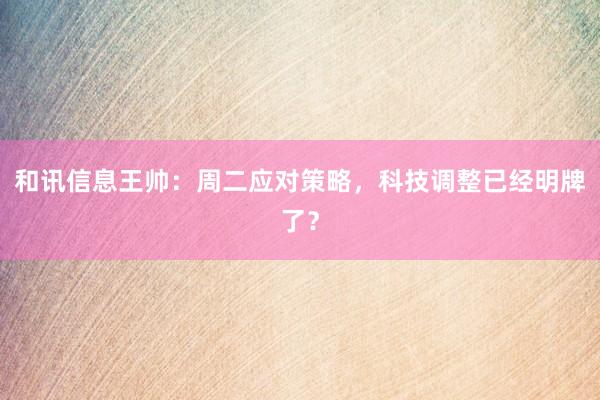 和讯信息王帅：周二应对策略，科技调整已经明牌了？