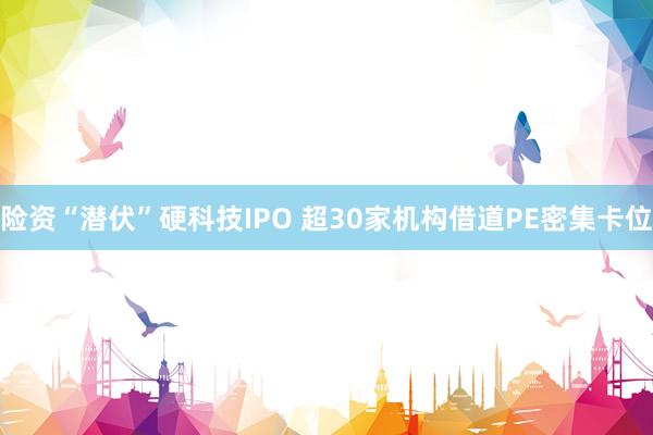 险资“潜伏”硬科技IPO 超30家机构借道PE密集卡位