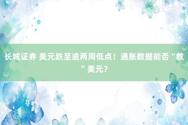 长城证券 美元跌至逾两周低点！通胀数据能否“救”美元？