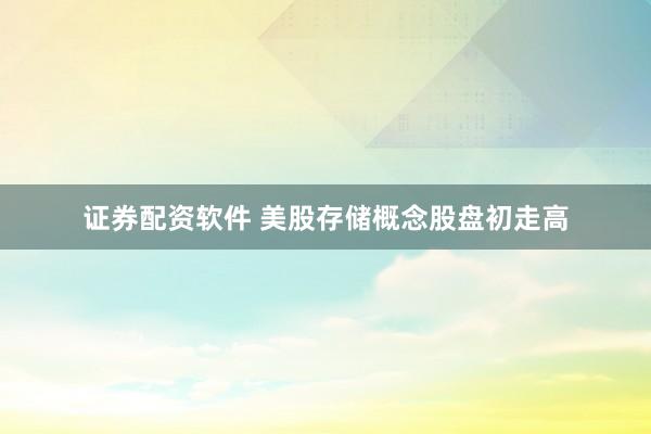 证券配资软件 美股存储概念股盘初走高
