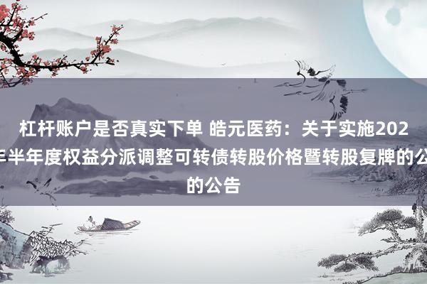 杠杆账户是否真实下单 皓元医药：关于实施2026年半年度权益分派调整可转债转股价格暨转股复牌的公告