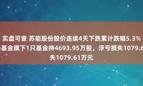 实盘可查 苏能股份股价连续4天下跌累计跌幅5.3%，国泰基金旗下1只基金持4693.95万股，浮亏损失1079.61万元