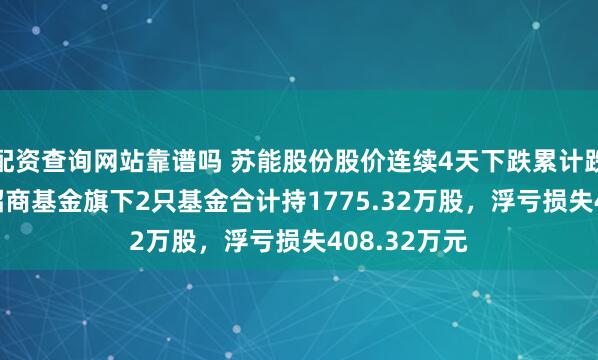 配资查询网站靠谱吗 苏能股份股价连续4天下跌累计跌幅5.3%，招商基金旗下2只基金合计持1775.32万股，浮亏损失408.32万元
