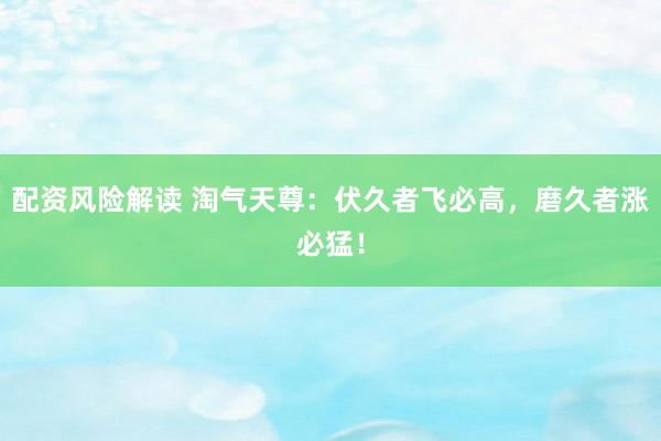 配资风险解读 淘气天尊：伏久者飞必高，磨久者涨必猛！
