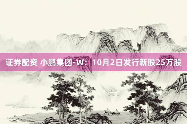 证券配资 小鹏集团-W：10月2日发行新股25万股