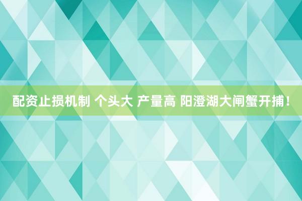配资止损机制 个头大 产量高 阳澄湖大闸蟹开捕！